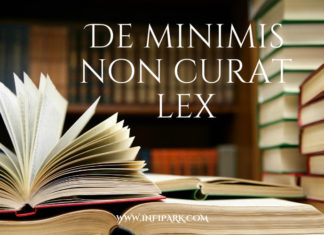 De minimis non curat lex
