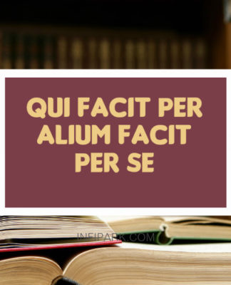 qui-facit-per-alium-facit-pers-se