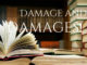 Damage and Damages damage-damages