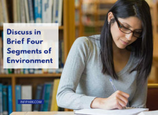 Discuss in brief four segments of environment ENVIRONMENT SEGMENTS