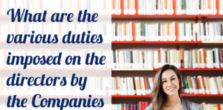 duties director company