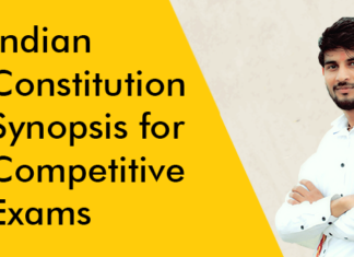 indian constitution synopsis