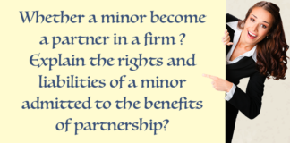 pertner in firm