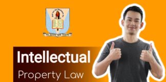 Intellectual Property law