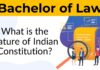 What is the nature of Indian Constitution?