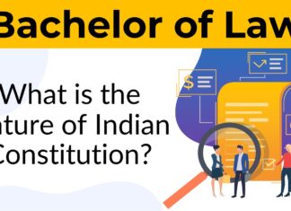What is the nature of Indian Constitution?