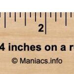 1-4-inches-on-a-ruler