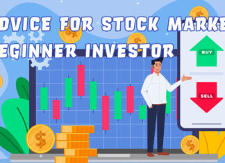 Advice for Stock Market Beginner Investor