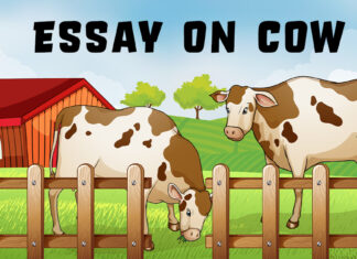 Essay on Cow Essay on Cow