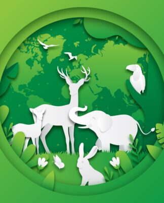 Essay on Conservation of the Environment