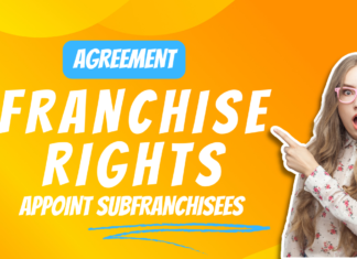 AGREEMENT BETWEEN A FRANCHISER AND FRANCHISEE GRANTING FRANCHISE RIGHTS WITH RIGHT TO APPOINT SUBFRANCHISEES IN THE TERRITORY ALLOTTED FRANCHISE RIGHTS