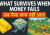 What Survives When Money Fails: A Comprehensive Analysis of Economic Resilience