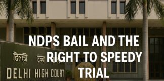 NDPS Bail