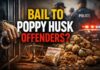 Delhi High Court Grants Bail to Poppy Husk Offenders