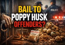Delhi High Court Grants Bail to Poppy Husk Offenders