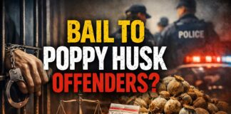 Delhi High Court Grants Bail to Poppy Husk Offenders