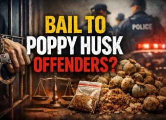 Delhi High Court Grants Bail to Poppy Husk Offenders