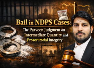 Bail in NDPS Cases: The Parveen Judgment on Intermediate Quantity and Prosecutorial Integrity